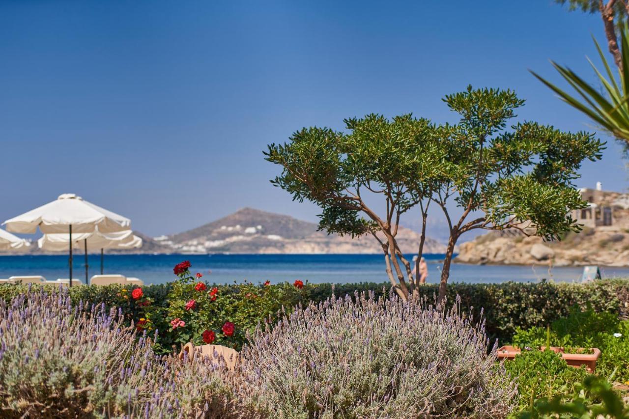 Kalergis Studios Naxos City Eksteriør billede